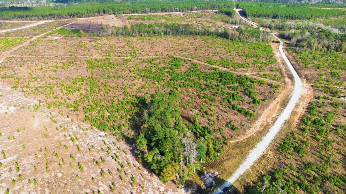 TBD Lady Luck Parcel Id 246461 Lane, Livingston, TX 77351 - Image #1