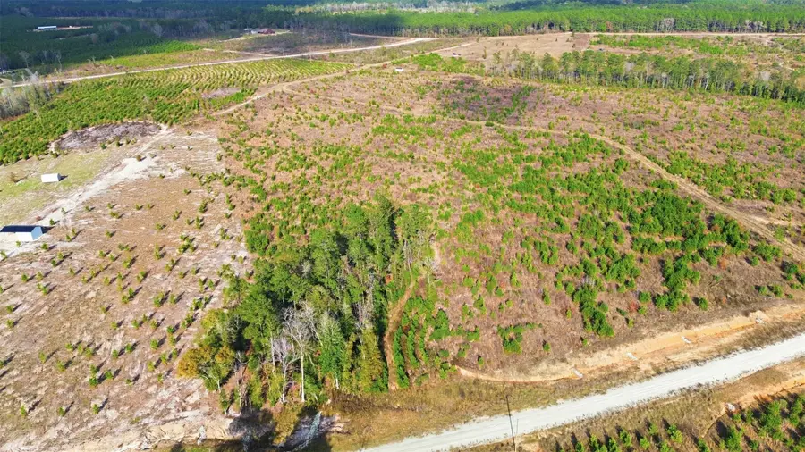 TBD Lady Luck Parcel Id 246461 Lane, Livingston, TX 77351 - Image #2