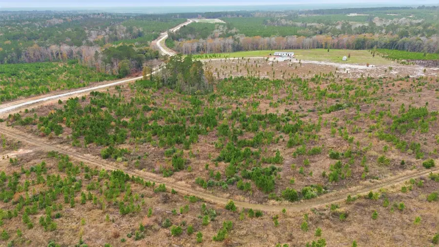 TBD Lady Luck Parcel Id 246461 Lane, Livingston, TX 77351 - Image #3