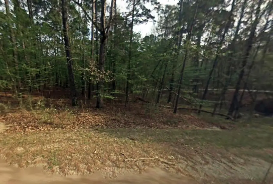 58 S Pine Harbour Drive, Coldspring, TX 77331 - #2