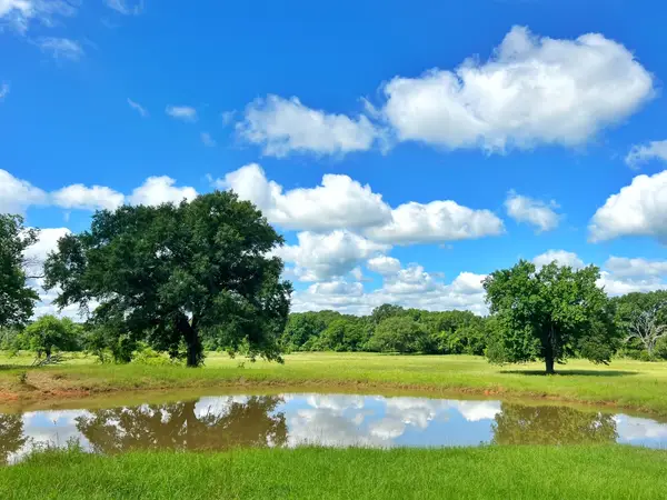 78 ac Cr 1080, Fairfield, TX 75840