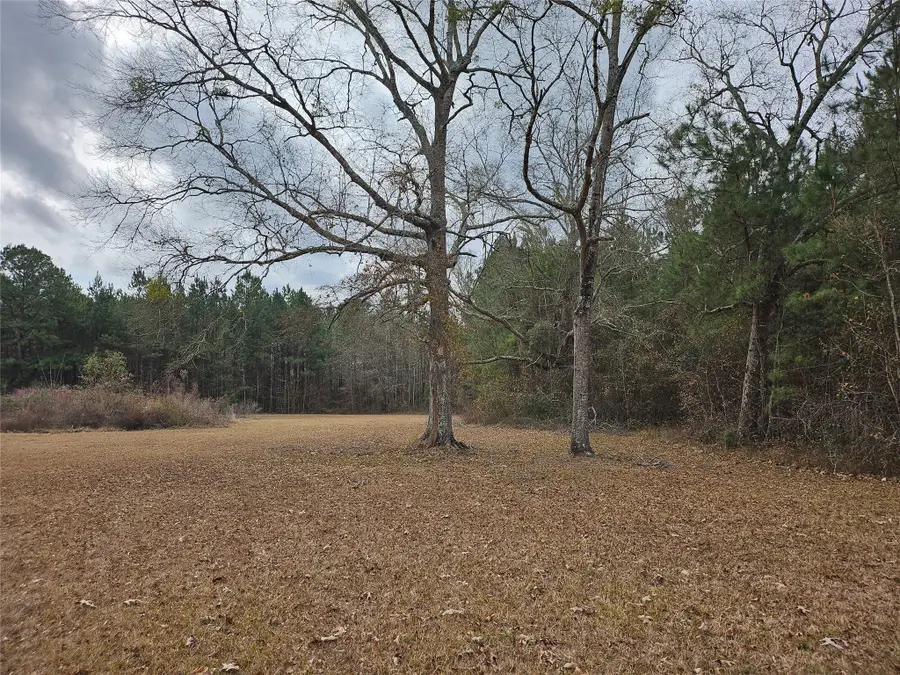 TBD Kelly Drive, Votaw, TX 77376 - #2