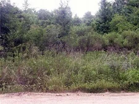 000 County Road 2926, Cleveland, TX 77327