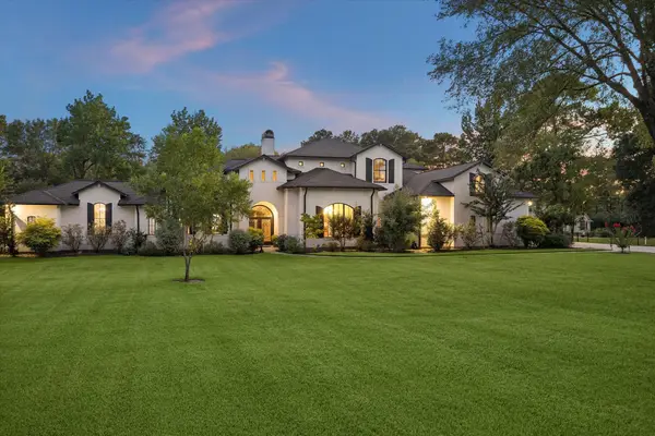 11440 Outpost Cove Drive, Willis, TX 77318