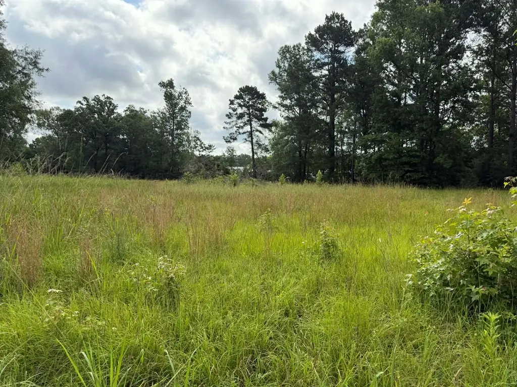 194 Lindsley Ln, Huntington, TX 75949 - #1
