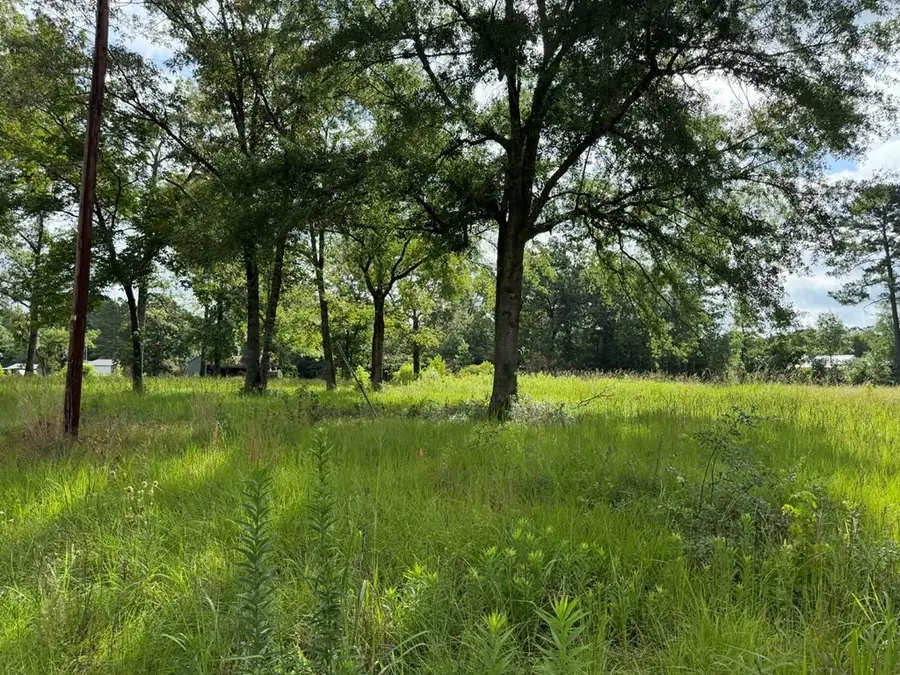 194 Lindsley Ln, Huntington, TX 75949 - #3