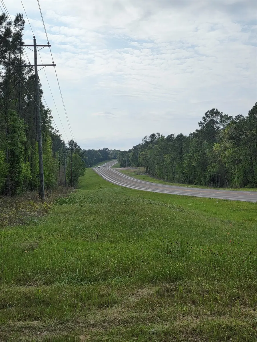 TBD Parcel# 96676 Hwy 190, Pointblank, TX 77364 - #2