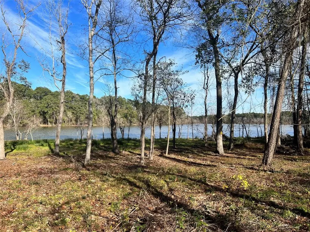 20247 W Lakelane, Humble, TX 77338 - #1