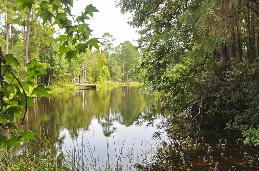 TR A-1,A-2 Artesian Way, New Caney, TX 77357 - #1