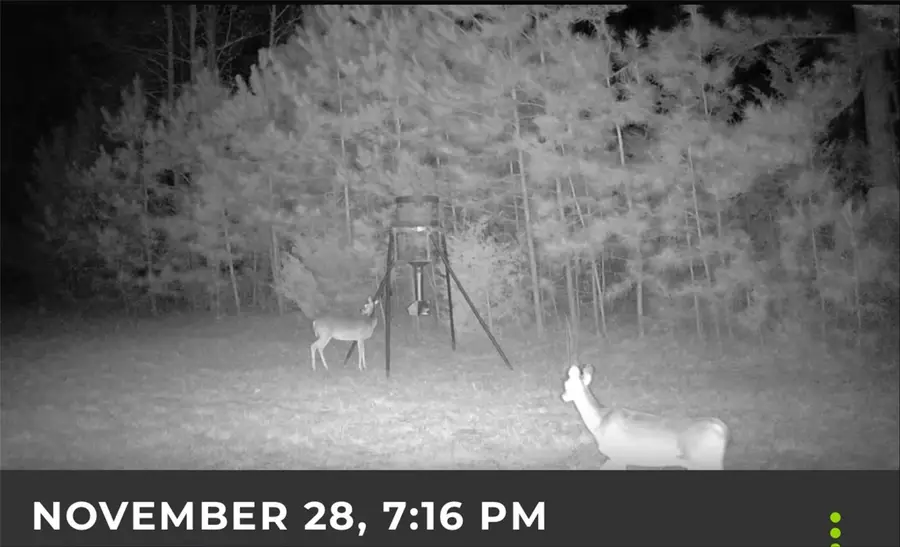 5589 Pr 1580, Centerville, TX 75833 - Image #3