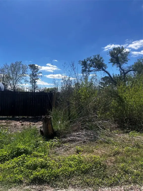 6214 Grosbeck Drive, Houston, TX 77048 - #2