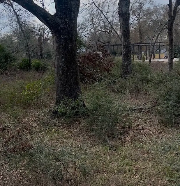 46833 Old Houston Highway, Pine Island, TX 77445 - #3