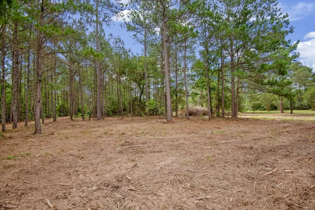 TBD Lot 2 County Road 302, Navasota, TX 77868 - #1