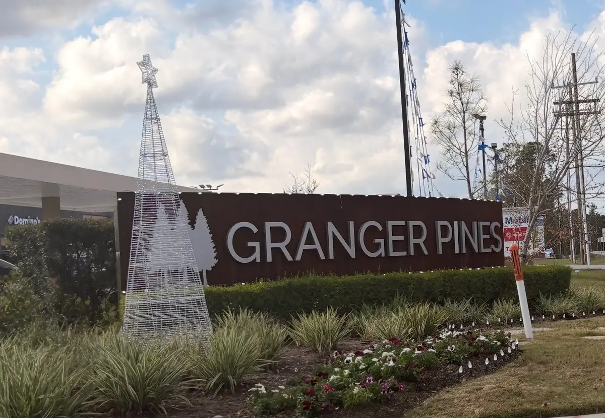 16916 Rich Pines Drive, Conroe, TX 77302 - Image #1