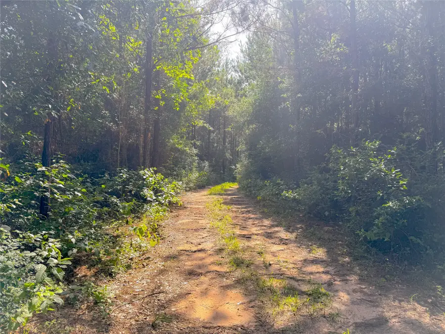 0 County Road 2650, Cleveland, TX 77327 - #2