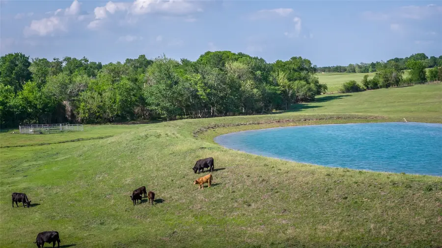 4201 Krueger Road, Washington Chappell Hill, TX 77880 - #2