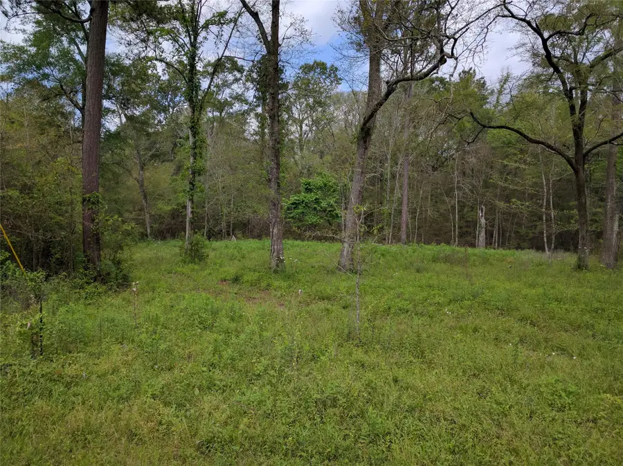 50G Jock Street, Livingston, TX 77351 - #2