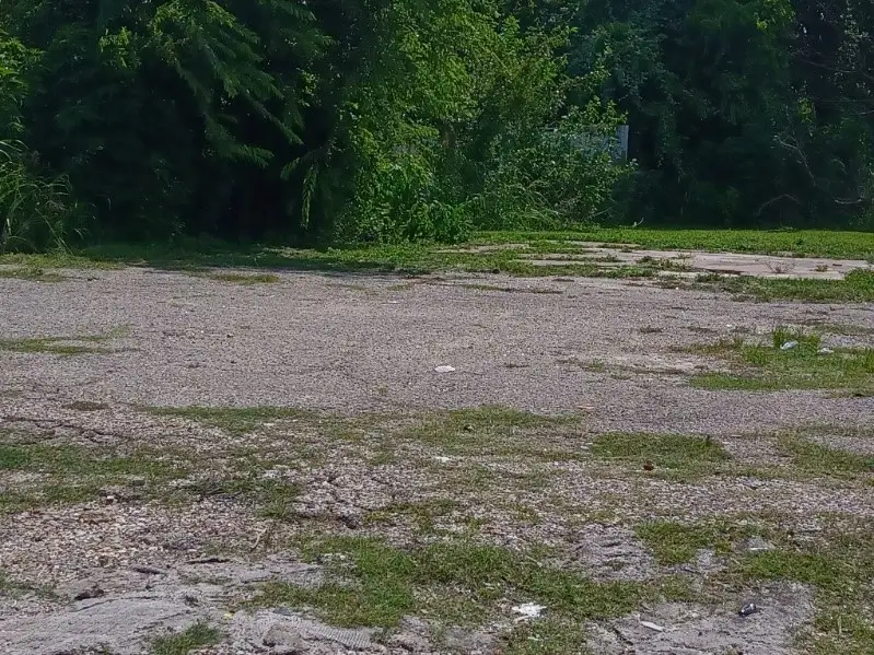 8936 Cullen Boulevard, Houston, TX 77051 - Image #1