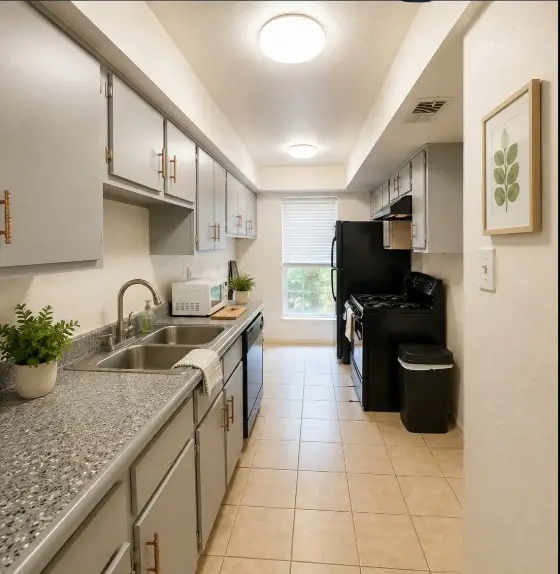 7805 Leonora Street, Houston, TX 77061 - #3