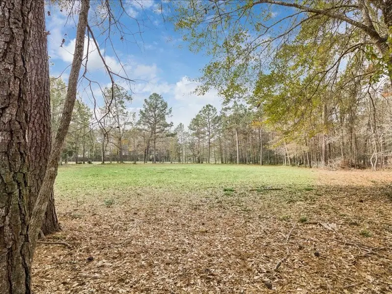 125 Skipper Jack, Montgomery, TX 77316 - #2