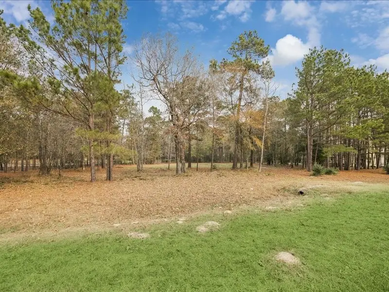 125 Skipper Jack, Montgomery, TX 77316 - #3