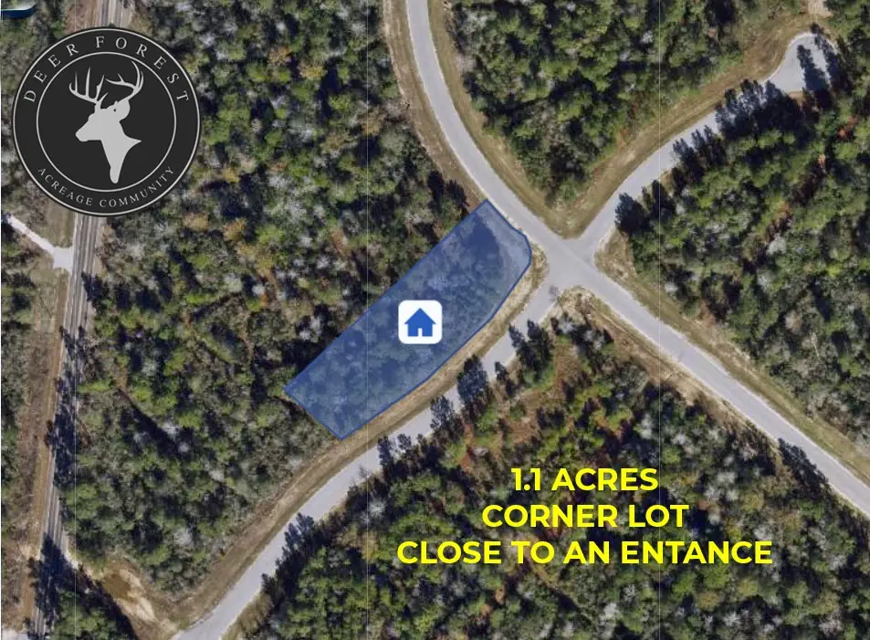 127 Gypsum Road, New Waverly, TX 77358 - #1