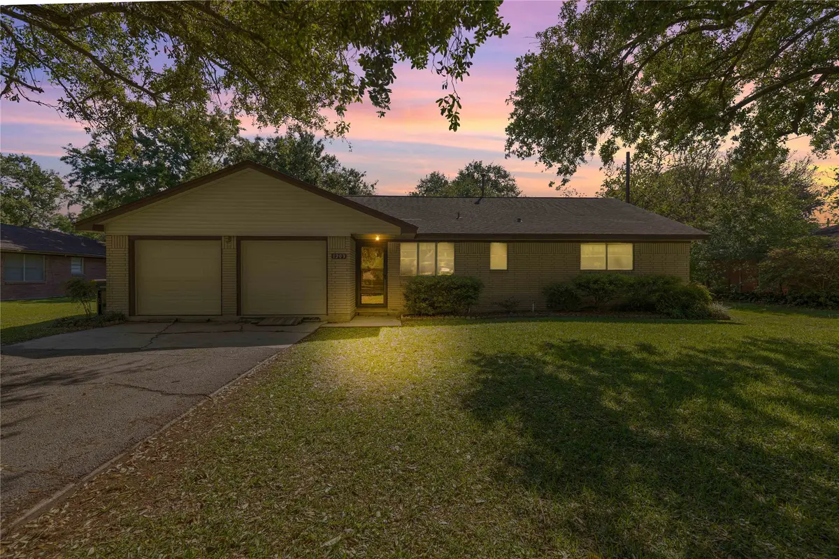 1203 Kansas Avenue S, Anahuac, TX 77514 - #1