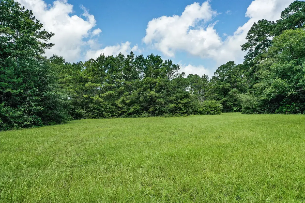 7.7 Acres Hill Rd, Willis, TX 77378 - #1