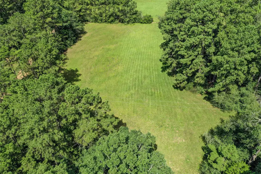 7.7 Acres Hill Rd, Willis, TX 77378 - #3