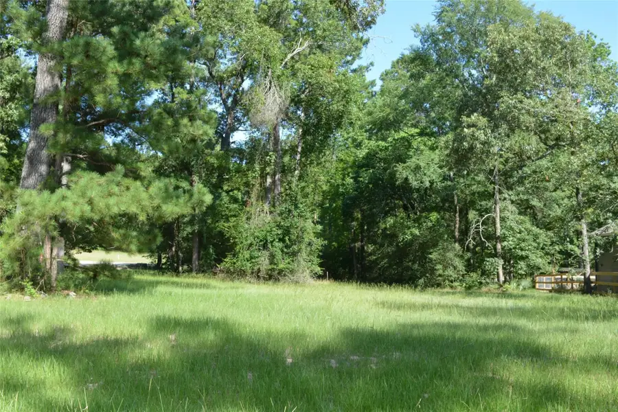82 Hillsborough Drive, Huntsville, TX 77340 - #3
