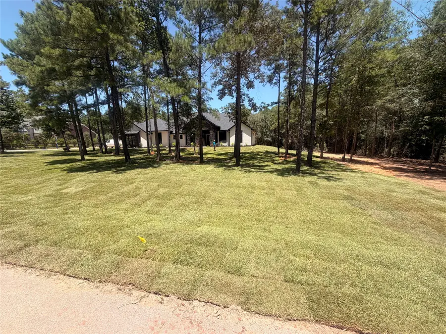 7210 Morningbrook Drive, Montgomery, TX 77316 - #3