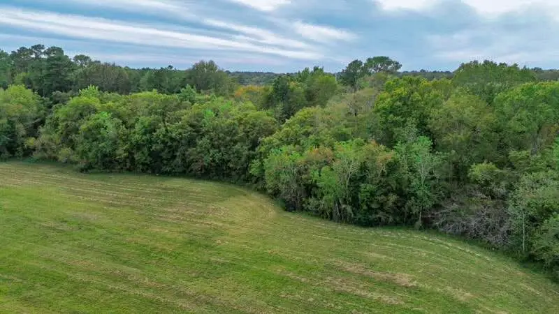 TBD Highway 321, Dayton, TX 77535 - #2