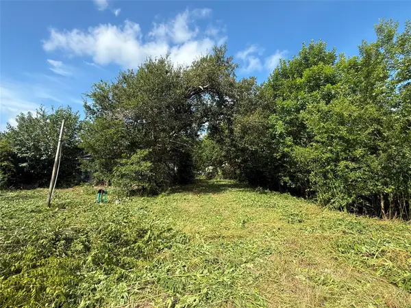2311 W Tavener Road, Beasley, TX 77417