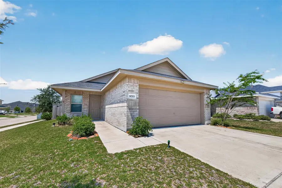 18703 Mercer Falls Drive, Hockley, TX 77447 - #2