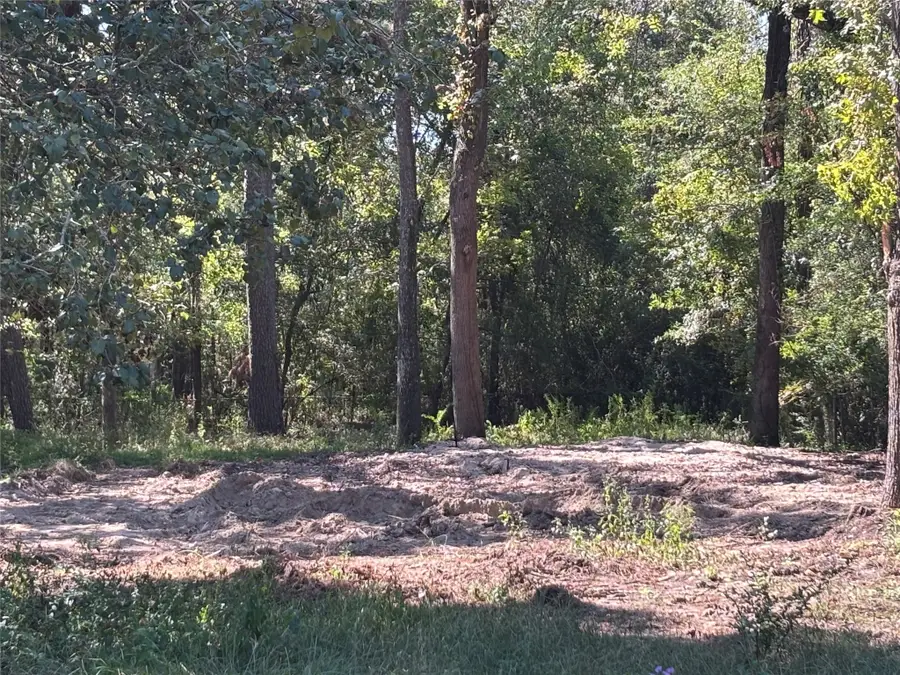 1314 Hamblen Road, Houston, TX 77339 - Image #2