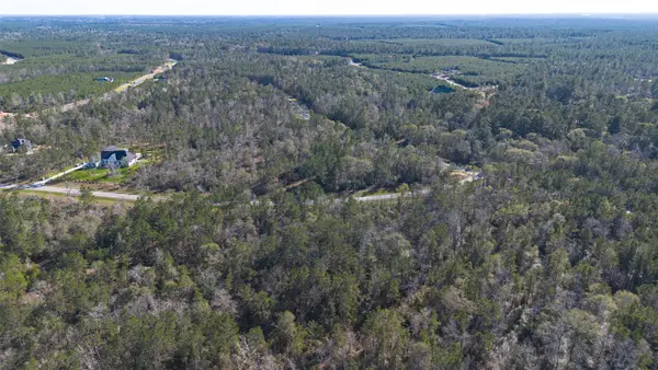 11623 Dawn Tree Lane, Willis, TX 77378