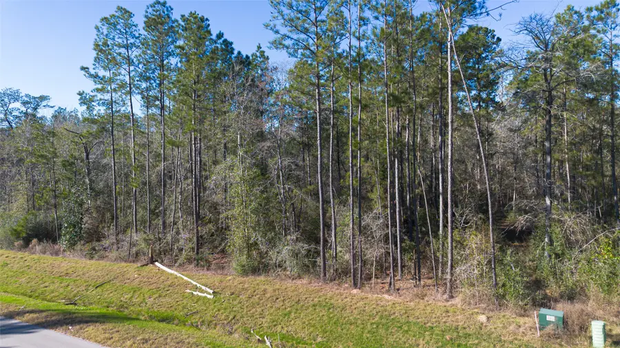 11623 Dawn Tree Lane, Willis, TX 77378 - #2