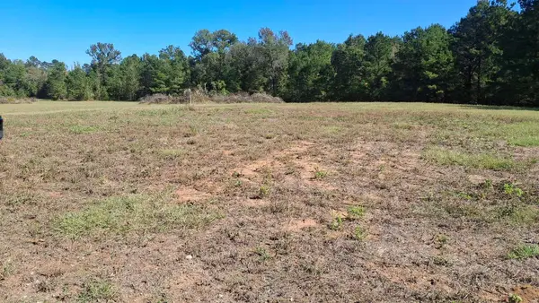 TBD Antioch Road, Groveton, TX 75845