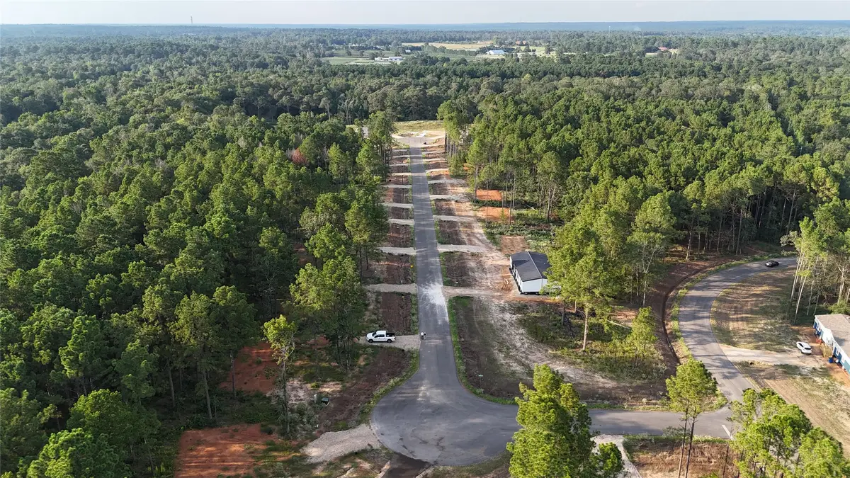 11363 Annie Creek Drive, Willis, TX 77378 - Image #1