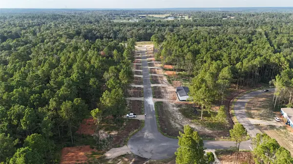 11363 Annie Creek Drive, Willis, TX 77378