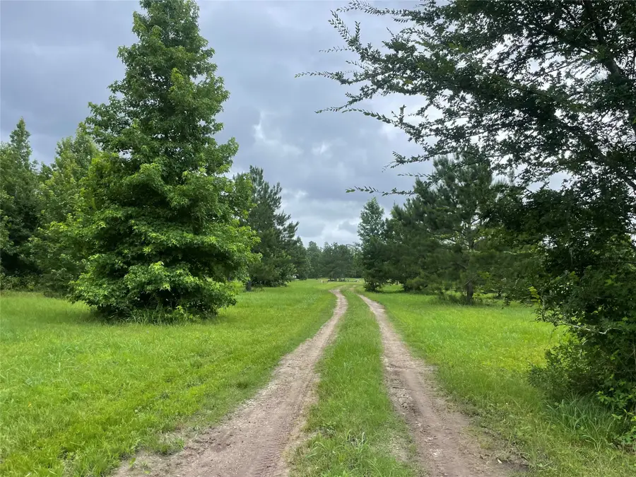 977 Tafelski, New Waverly, TX 77358 - #3