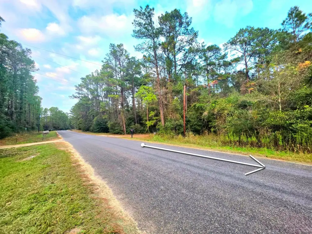 16677 Whippoorwill Road, Navasota, TX 77868 - #1