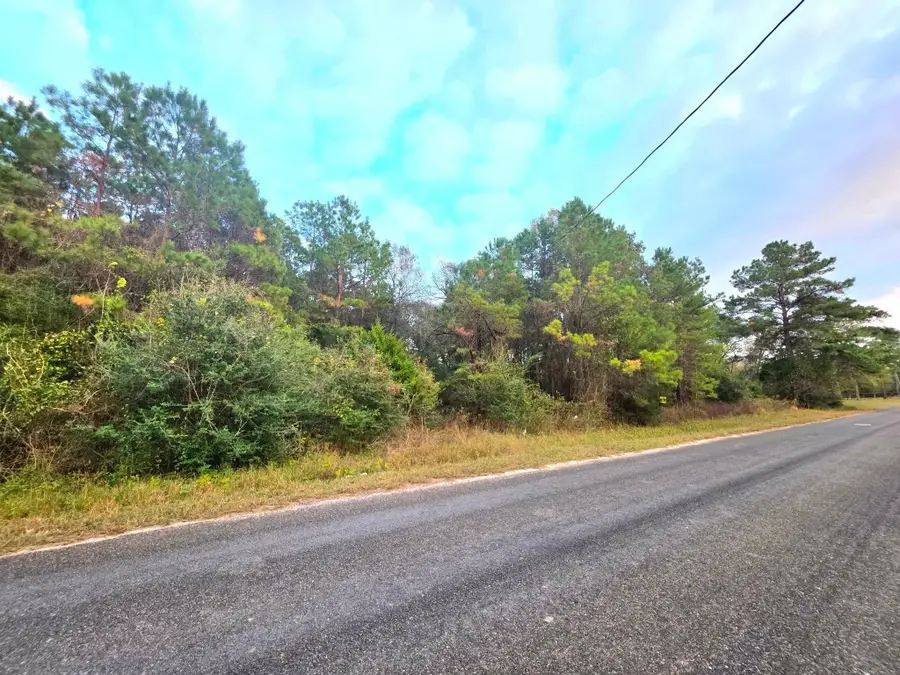 16677 Whippoorwill Road, Navasota, TX 77868 - #3