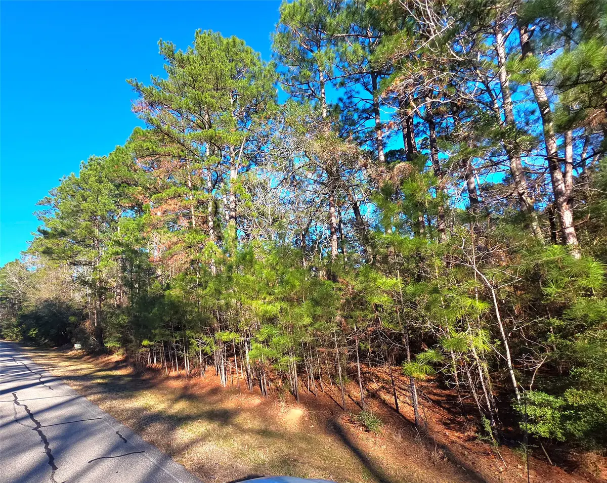 TBD Waterwood Bay Rd, Marina Acc Rd, Huntsville, TX 77320 - #1