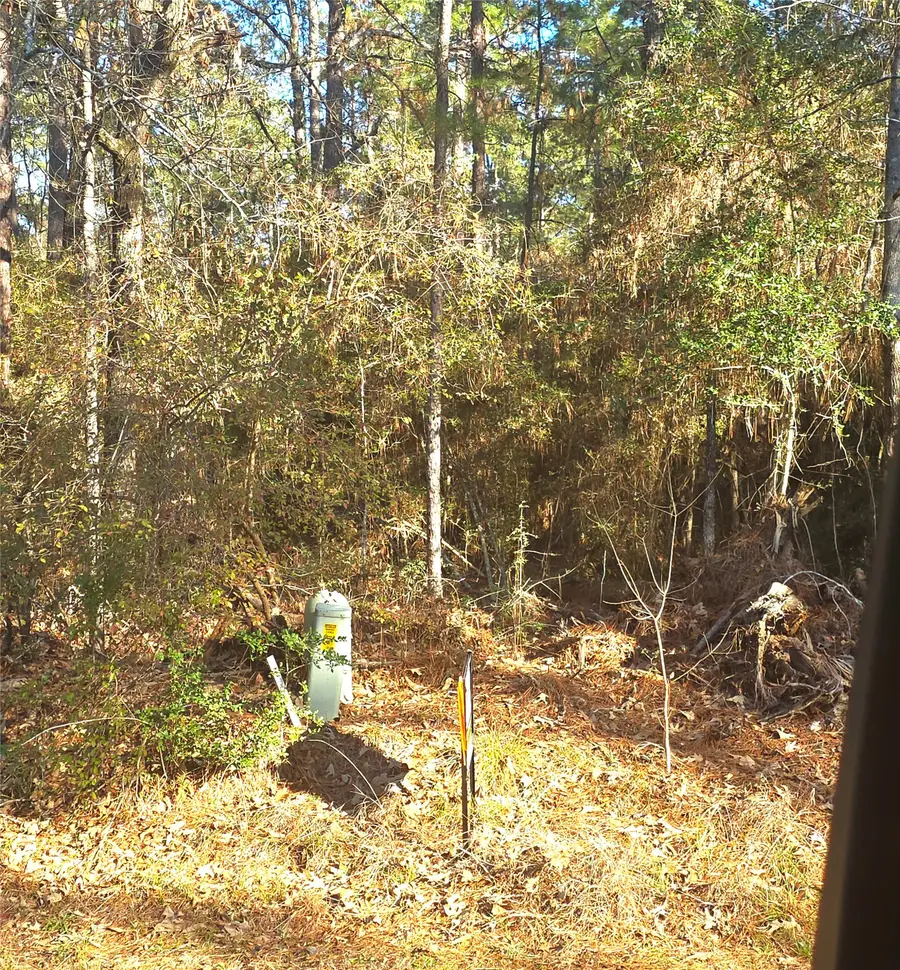 TBD Waterwood Bay Rd, Marina Acc Rd, Huntsville, TX 77320 - #3