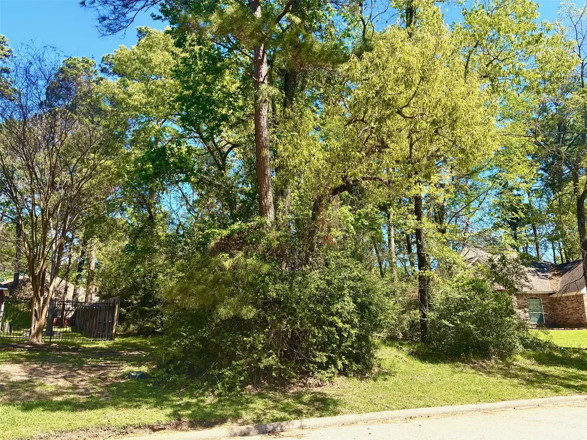 3015 Chaucer Drive, Montgomery, TX 77356 - #1