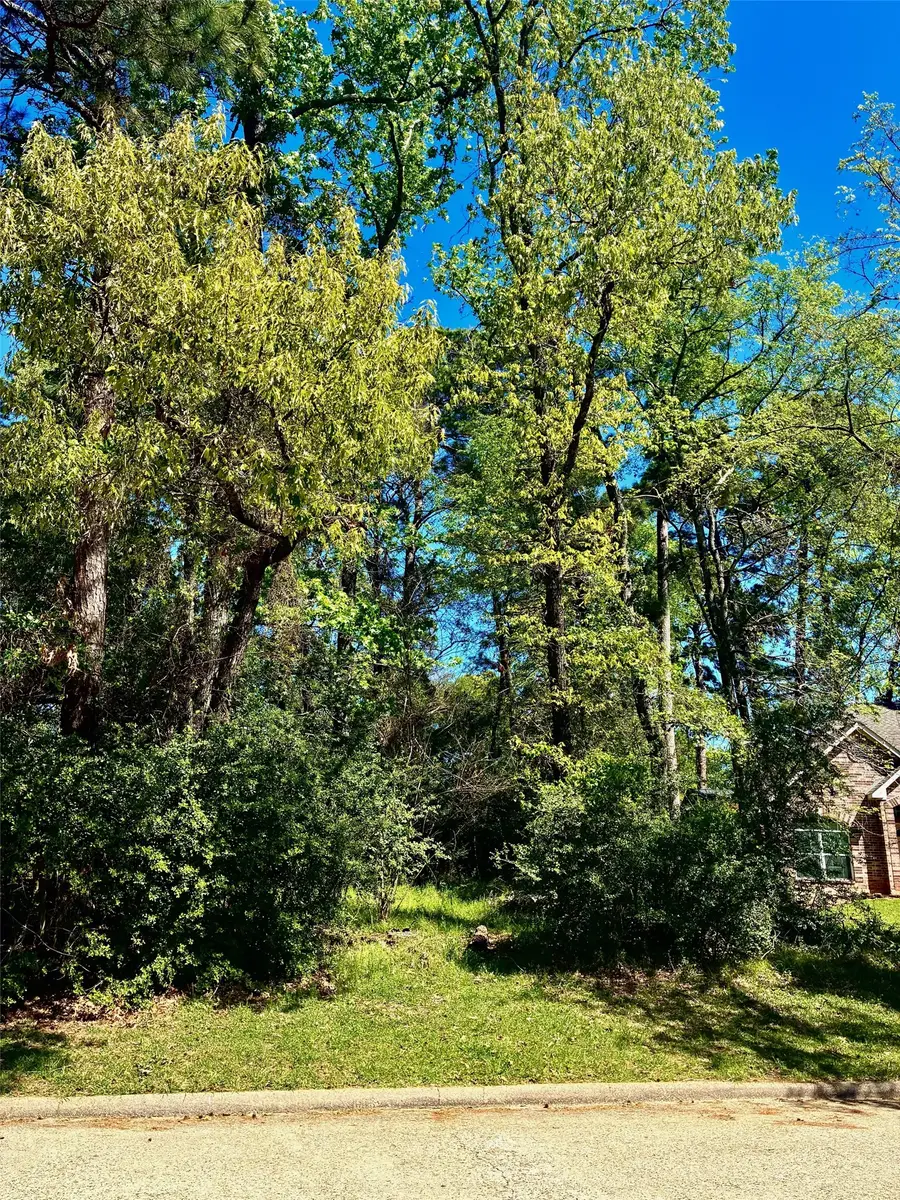 3015 Chaucer Drive, Montgomery, TX 77356 - #2