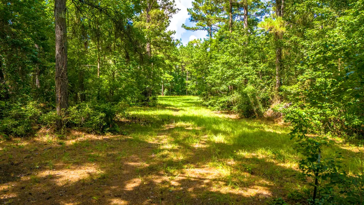 45 Acres Fm 229, Crockett, TX 75835 - #1