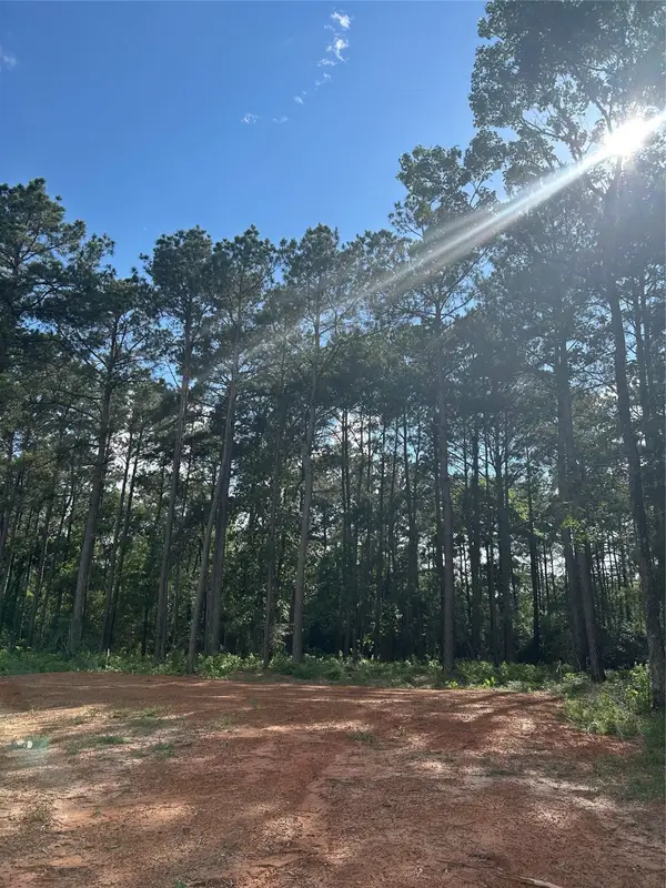 11309 Annie Creek Drive, Willis, TX 77378