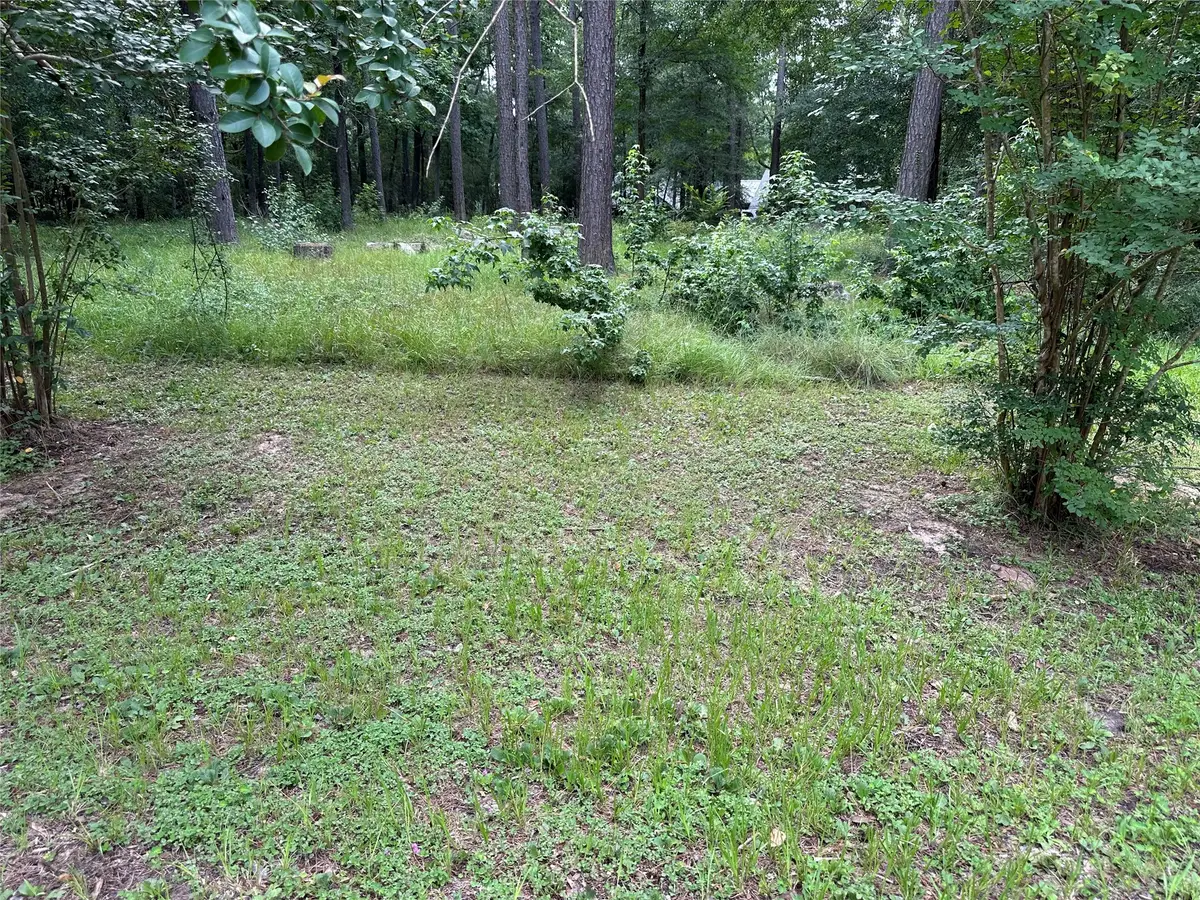 3779 Spring Drive, Huntsville, TX 77340 - #1